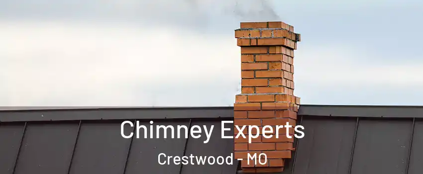 Chimney Experts Crestwood - MO