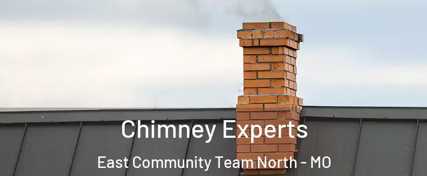 Chimney Experts East Community Team North - MO