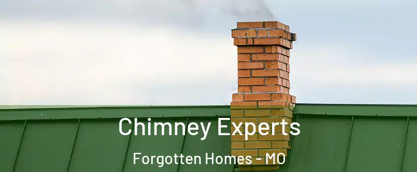 Chimney Experts Forgotten Homes - MO