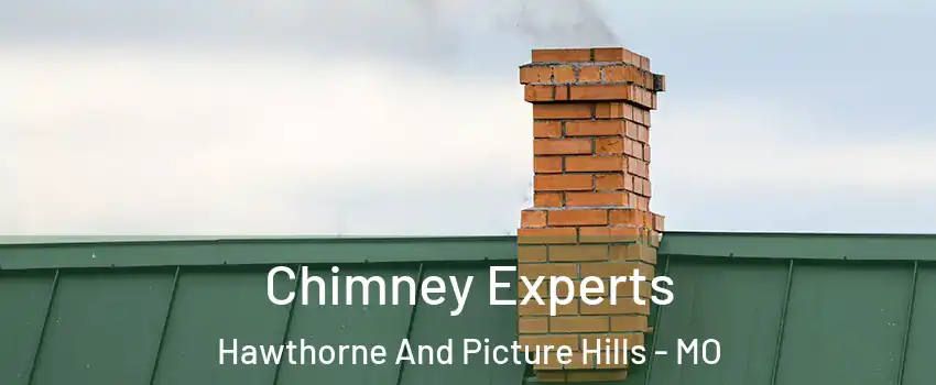 Chimney Experts Hawthorne And Picture Hills - MO