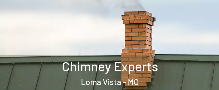 Chimney Experts Loma Vista - MO