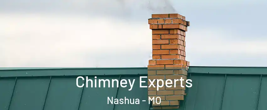 Chimney Experts Nashua - MO