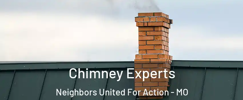 Chimney Experts Neighbors United For Action - MO