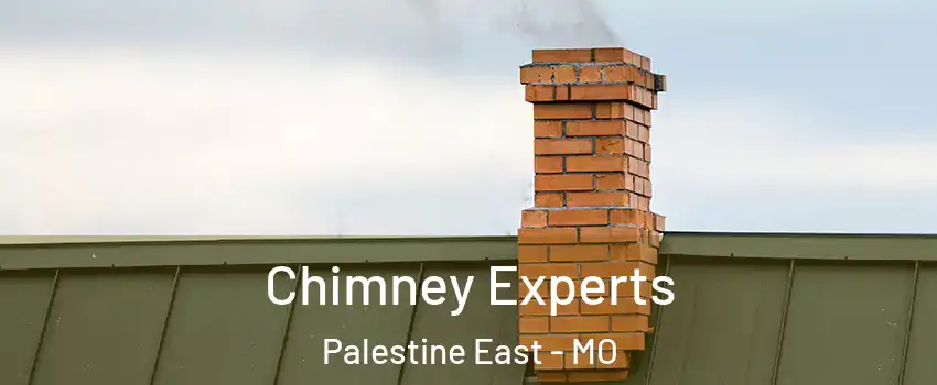 Chimney Experts Palestine East - MO