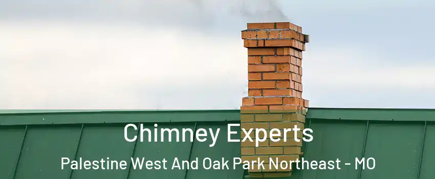 Chimney Experts Palestine West And Oak Park Northeast - MO