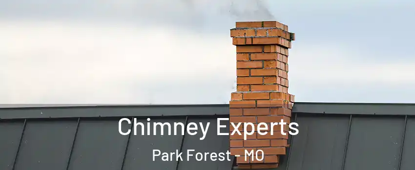 Chimney Experts Park Forest - MO