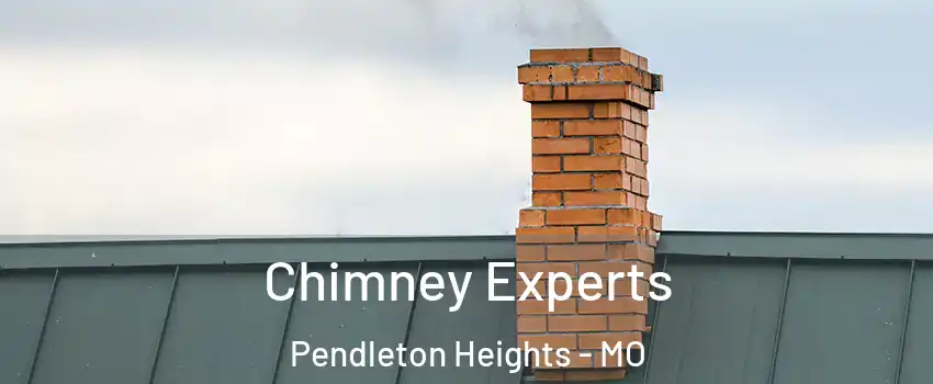 Chimney Experts Pendleton Heights - MO