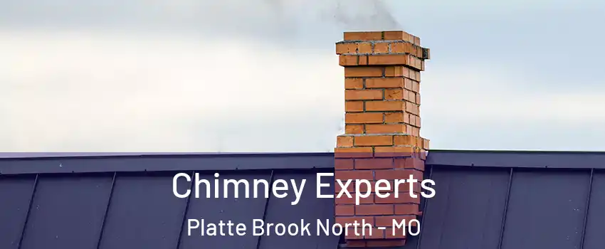 Chimney Experts Platte Brook North - MO