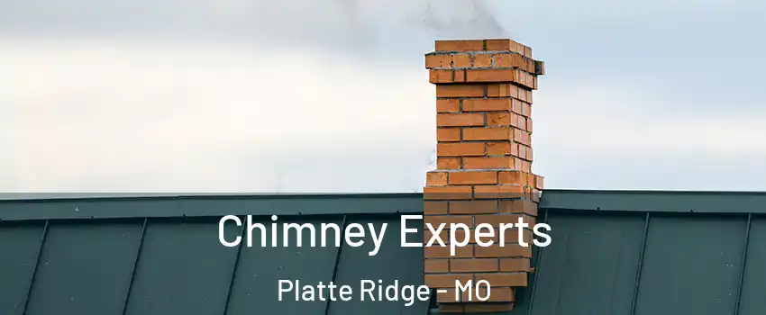 Chimney Experts Platte Ridge - MO