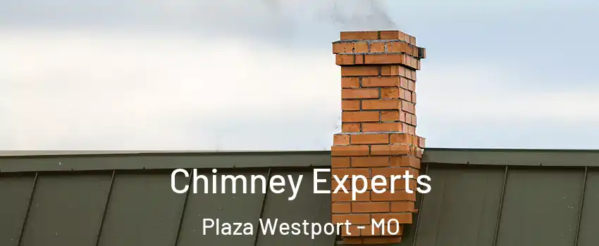 Chimney Experts Plaza Westport - MO