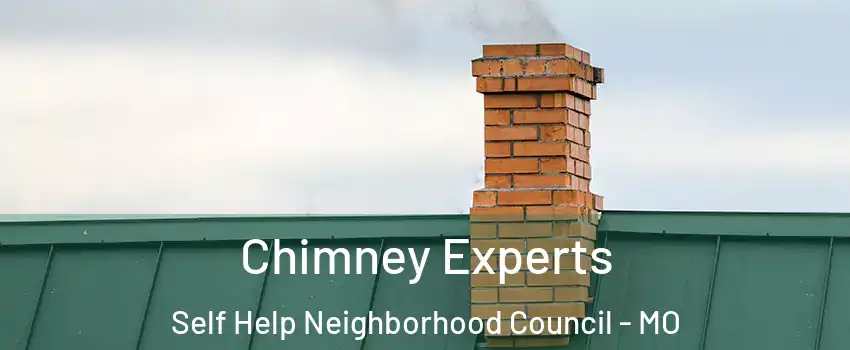 Chimney Experts Self Help Neighborhood Council - MO