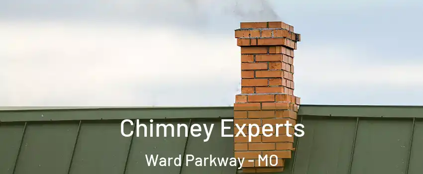 Chimney Experts Ward Parkway - MO