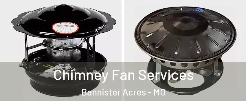 Chimney Fan Services Bannister Acres - MO