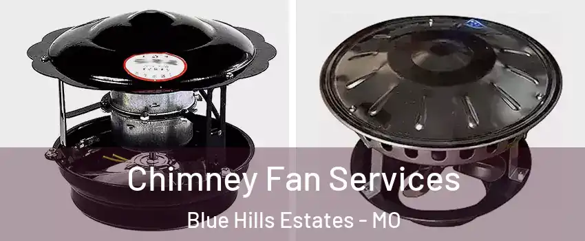 Chimney Fan Services Blue Hills Estates - MO