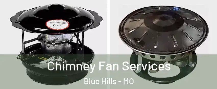 Chimney Fan Services Blue Hills - MO