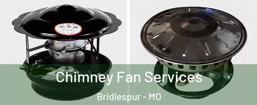 Chimney Fan Services Bridlespur - MO