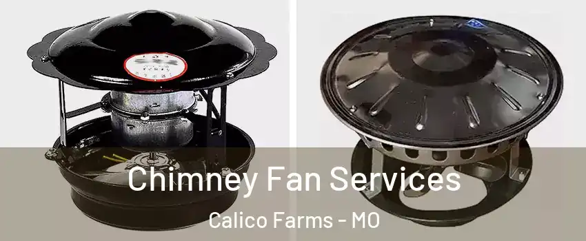 Chimney Fan Services Calico Farms - MO