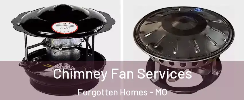 Chimney Fan Services Forgotten Homes - MO