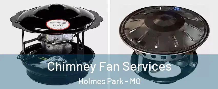 Chimney Fan Services Holmes Park - MO