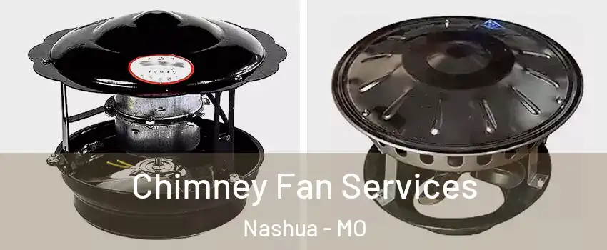 Chimney Fan Services Nashua - MO