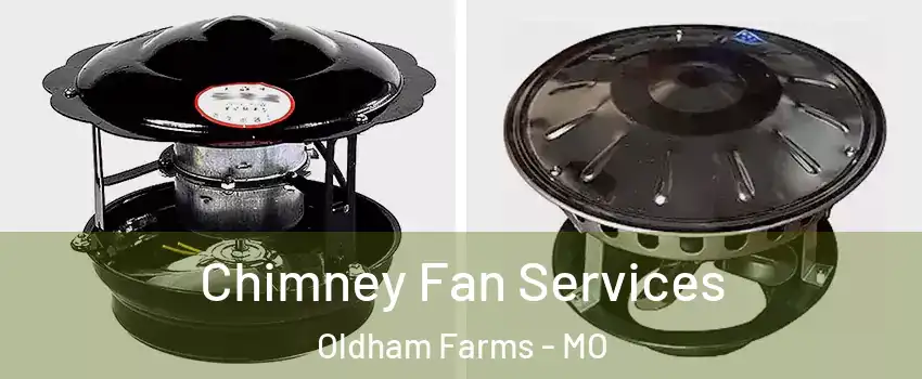 Chimney Fan Services Oldham Farms - MO