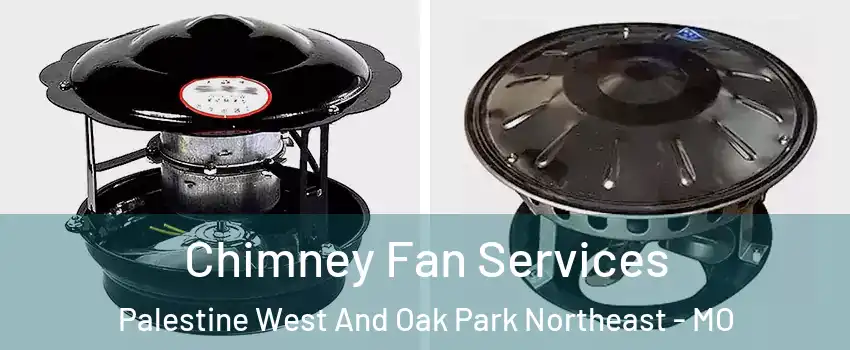 Chimney Fan Services Palestine West And Oak Park Northeast - MO