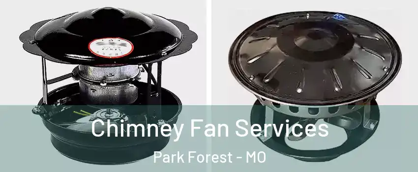 Chimney Fan Services Park Forest - MO