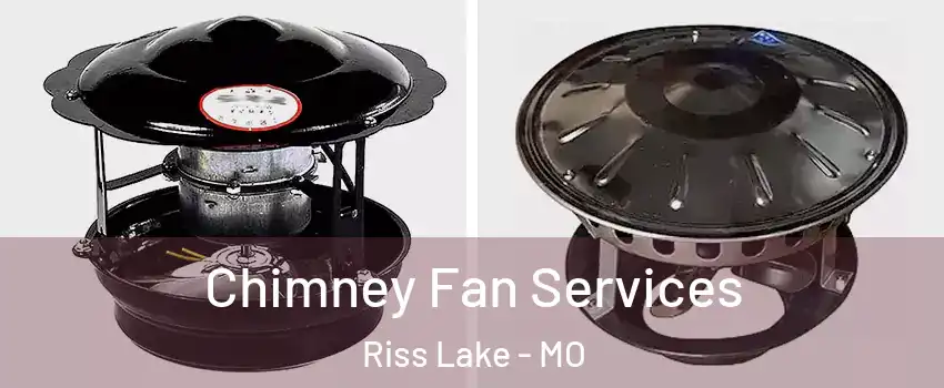 Chimney Fan Services Riss Lake - MO