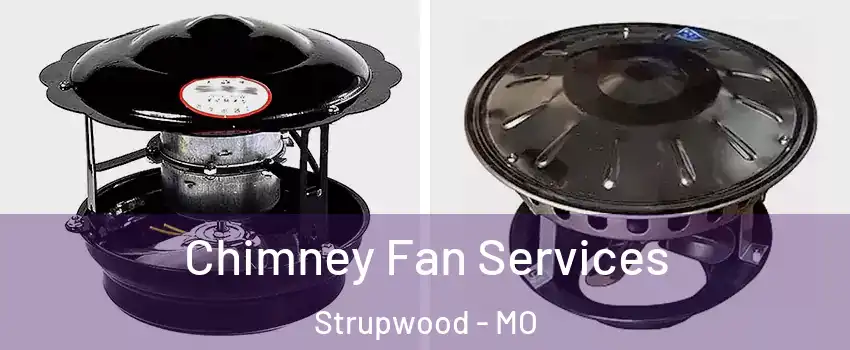 Chimney Fan Services Strupwood - MO