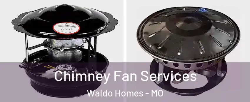 Chimney Fan Services Waldo Homes - MO