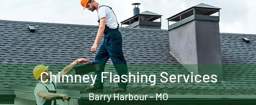 Chimney Flashing Services Barry Harbour - MO