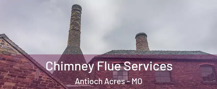 Chimney Flue Services Antioch Acres - MO