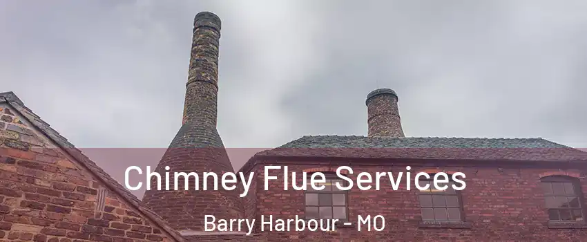 Chimney Flue Services Barry Harbour - MO