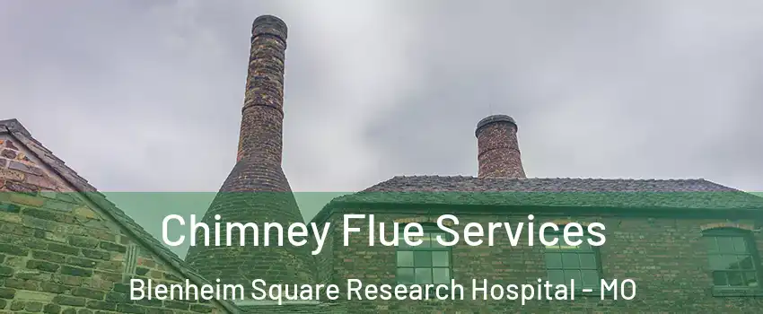 Chimney Flue Services Blenheim Square Research Hospital - MO