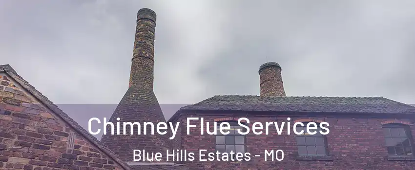 Chimney Flue Services Blue Hills Estates - MO