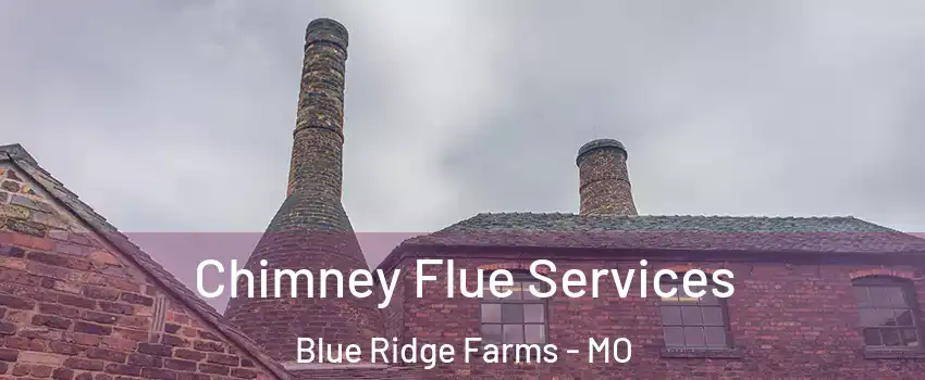 Chimney Flue Services Blue Ridge Farms - MO