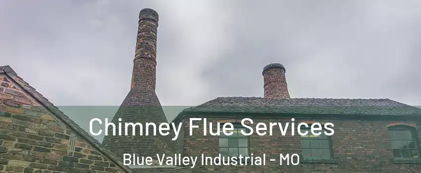 Chimney Flue Services Blue Valley Industrial - MO