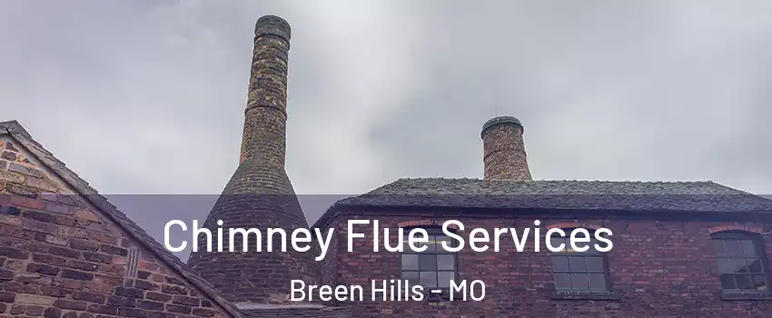 Chimney Flue Services Breen Hills - MO