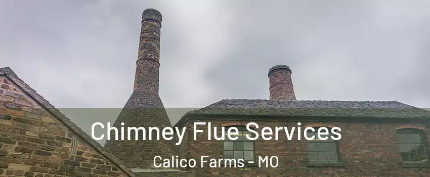 Chimney Flue Services Calico Farms - MO