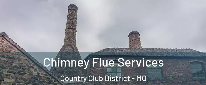 Chimney Flue Services Country Club District - MO