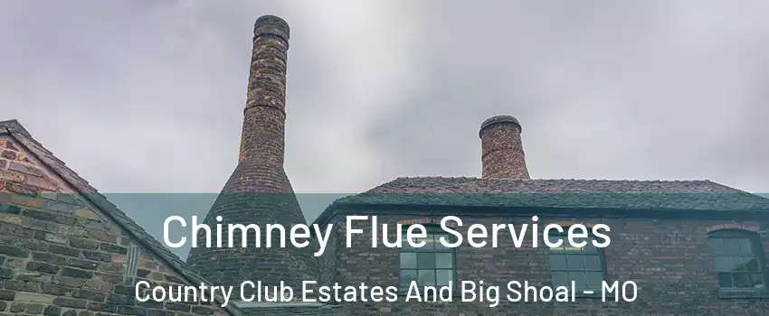 Chimney Flue Services Country Club Estates And Big Shoal - MO