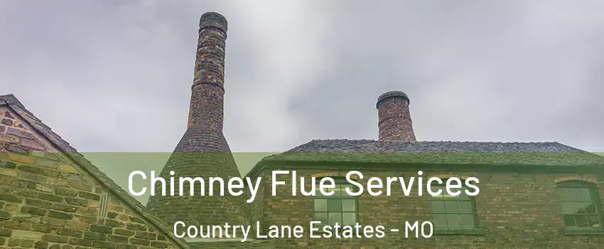 Chimney Flue Services Country Lane Estates - MO