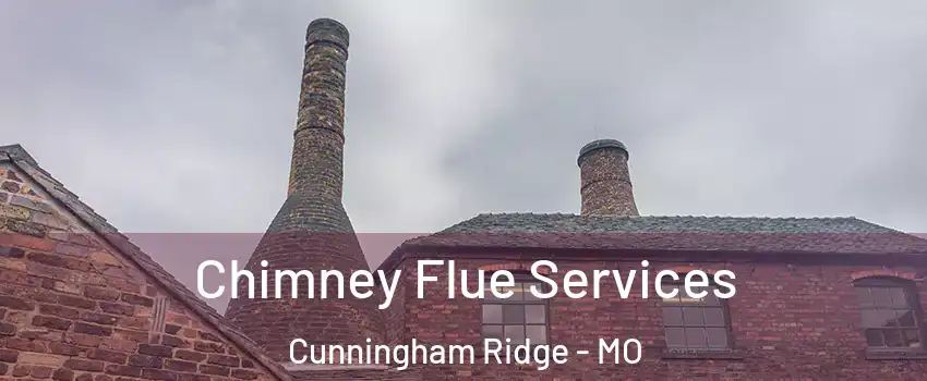 Chimney Flue Services Cunningham Ridge - MO