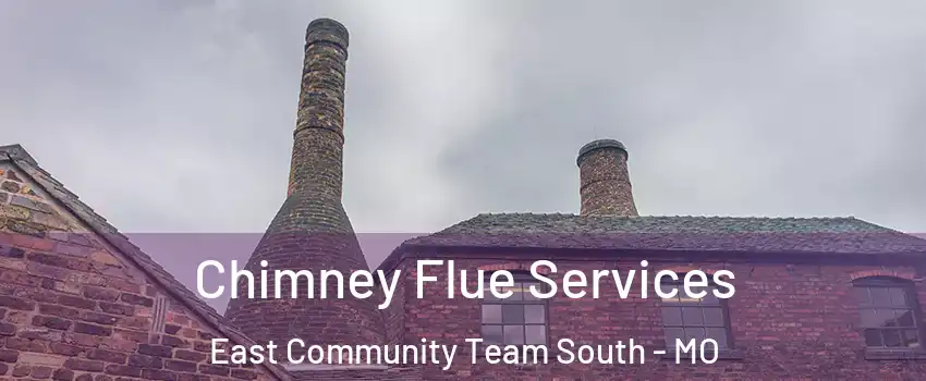 Chimney Flue Services East Community Team South - MO