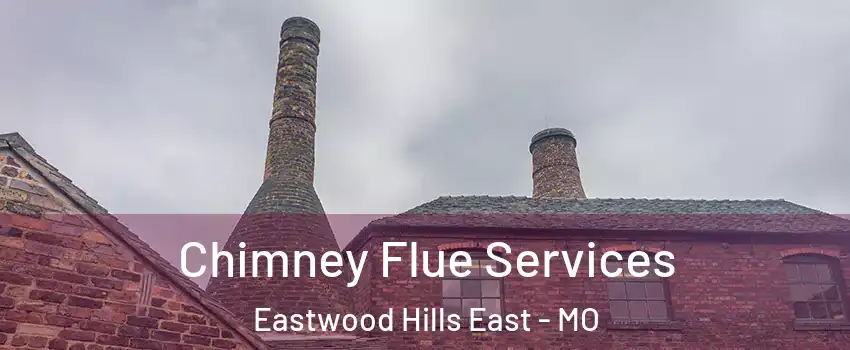 Chimney Flue Services Eastwood Hills East - MO