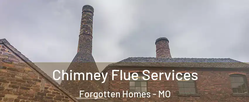 Chimney Flue Services Forgotten Homes - MO