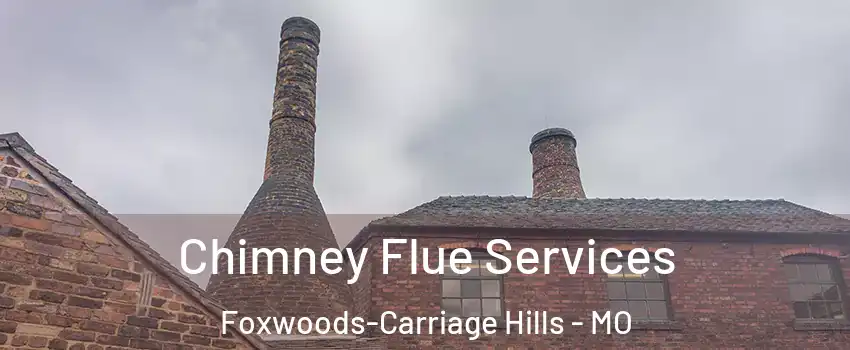 Chimney Flue Services Foxwoods-Carriage Hills - MO