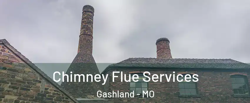 Chimney Flue Services Gashland - MO