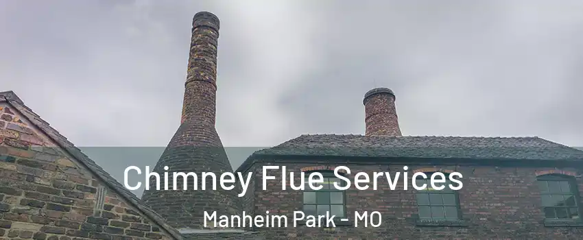 Chimney Flue Services Manheim Park - MO