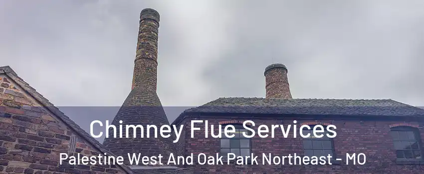 Chimney Flue Services Palestine West And Oak Park Northeast - MO